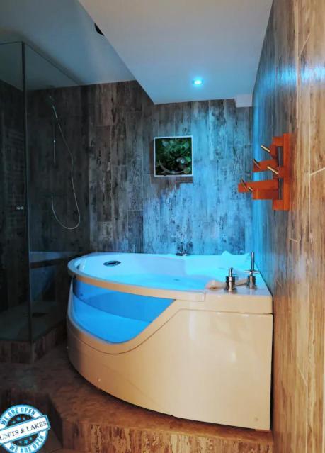 Le Cocon - Lofts & Lakes Certified 4-Stars Άννεσι Εξωτερικό φωτογραφία